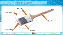 elements of a paint brush